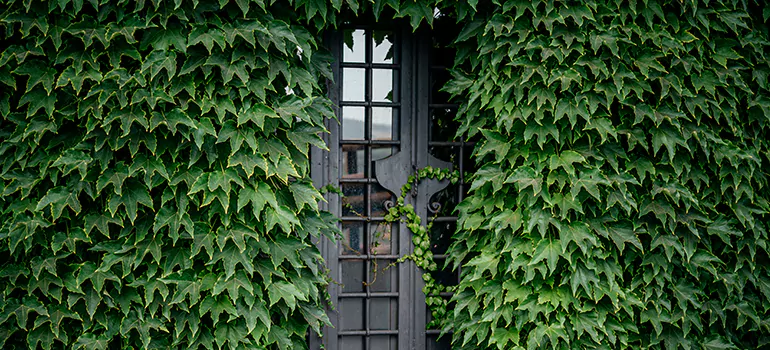 Garden Gate Repair in Palm Bay, FL
